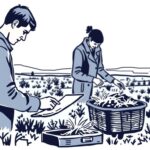 Прослеживаемые товары в 1С: как организовать учёт и отчётность без лишней суеты